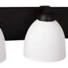 HOME Enhancements Victoria Matte Black Vanity Light Lighting 1 HOME Enhancements Victoria Matte Black Vanity Light Lighting