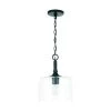 Capital Lighting Anthony Mini Pendant