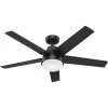 Hunter Dane 52" Black Matte Fan