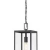 Z-Lite Nance 1 Light Outdoor Pendant
