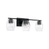 Capital Lighting Luke Matte Black Vanity Light