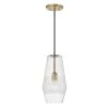 Capital Lighting Elizabeth 1 Light Pendant
