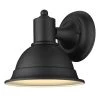 Acclaim Lighting Collin Black 1 Light Outdoor Sconce