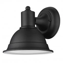 Acclaim Lighting Collin Black 1 Light Outdoor Sconce