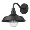 Acclaim Lighting Frank Outdoor Sconce