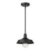 Acclaim Lighting Frank Outdoor Hanging Pendant