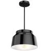 Hunter Lighting Carlie 1 Light Pendant In Black