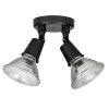 Capital Lighting Flood Light