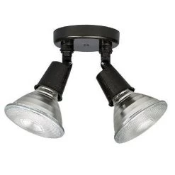Capital Lighting Flood Light