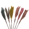 Creative Co-Op Dried Natural Pampas Grass Bunch