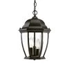 Acclaim Lighting Welford 3 Light Outdoor Hanging Pendant