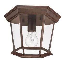Acclaim Lighting Donovan 1 Light Outdoor Flushmount