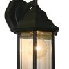 Z-Lite Waters 1 Light Black Outdoor Lantern 1 Z-Lite Waters 1 Light Black Outdoor Lantern