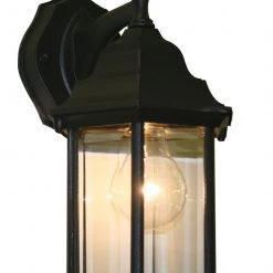 Z-Lite Waters 1 Light Black Outdoor Lantern