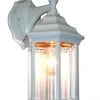 Z-Lite Waters 1 Light White Outdoor Lantern