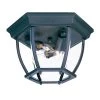 Acclaim Lighting Clear Beveled Outdoor Flushmount