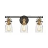 Elk Group International Wickham Bronze & Brass Vanity Light