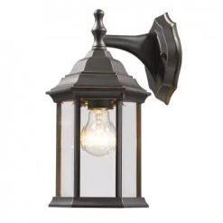 Z-Lite Waters 1 Light Bronze Outdoor Lantern