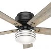 Hunter Hills 52" Fan