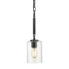Golden Highland Matte Black Pendant Light