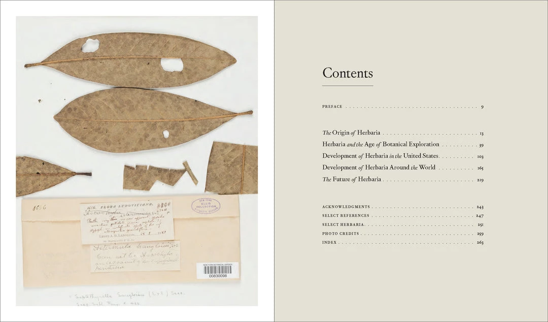 Workman Publishing Herbarium Decor 4 Workman Publishing Herbarium Decor