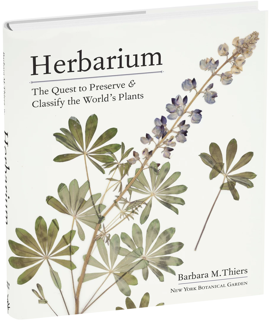 Workman Publishing Herbarium Decor 3 Workman Publishing Herbarium Decor