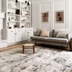 Loloi Alchemy Silver Graphite Rug