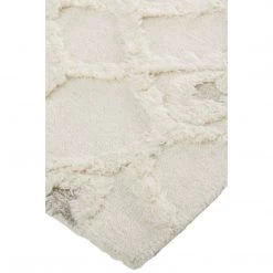 Feizy Rugs Anica Ivory Rug