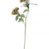 Kalalou Jane Brown Floral Stem Decor