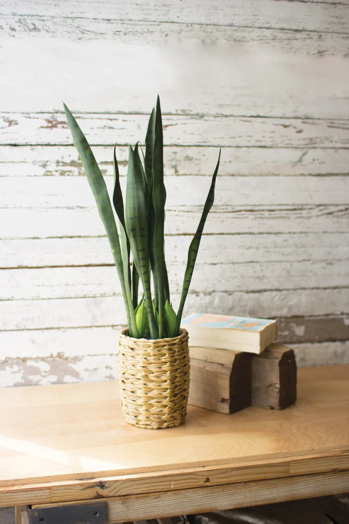 Kalalou Artificial Mother In Law Tongue In A Woven Seagrass Pot Decor 3 Kalalou Artificial Mother In Law Tongue In A Woven Seagrass Pot Decor