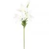 Kalalou Lillian White Stem Decor