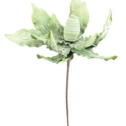 Kalalou Oliver Leaf Stem