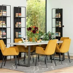 Dovetail Marigold Dining Chair Set Of 2