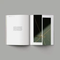 Alabaster Decor Book Of Esther