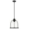 Acclaim Lighting Stanton 1 Light Pendant