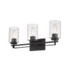Acclaim Lighting Borella Bronze Vanity Light 2 Acclaim Lighting Borella Bronze Vanity Light