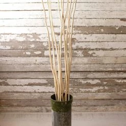 Kalalou Natural Kambooi Branches Bundle Decor
