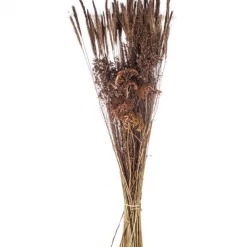 Hobby Lobby Brown Rye & Yarrow Dried Mix