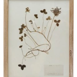 Creative Co-Op Wood Framed Botanicals Decor