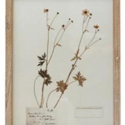Creative Co-Op Wood Framed Botanicals Decor