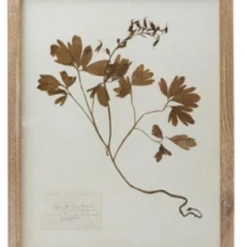 Creative Co-Op Wood Framed Botanicals Decor