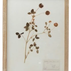 Creative Co-Op Wood Framed Botanicals Decor