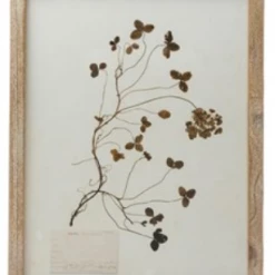 Creative Co-Op Wood Framed Botanicals Decor