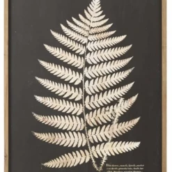 Creative Co-Op Decor Laser Cut Framed Fern Leaf
