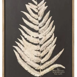 Creative Co-Op Decor Laser Cut Framed Fern Leaf