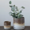 Creative Co-Op San Marco Flower Pot New Arrivals