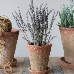 Creative Co-Op Distressed Cement Planters