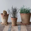 Creative Co-Op Distressed Cement Planters