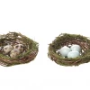 Creative Co-Op Faux Moss Nests Decor