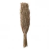 Creative Co-Op New Arrivals Dried Natural Star Grass Bunch